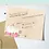 Thumbnail: White Pumpkins Wedding RSVP Cards | Set of 10